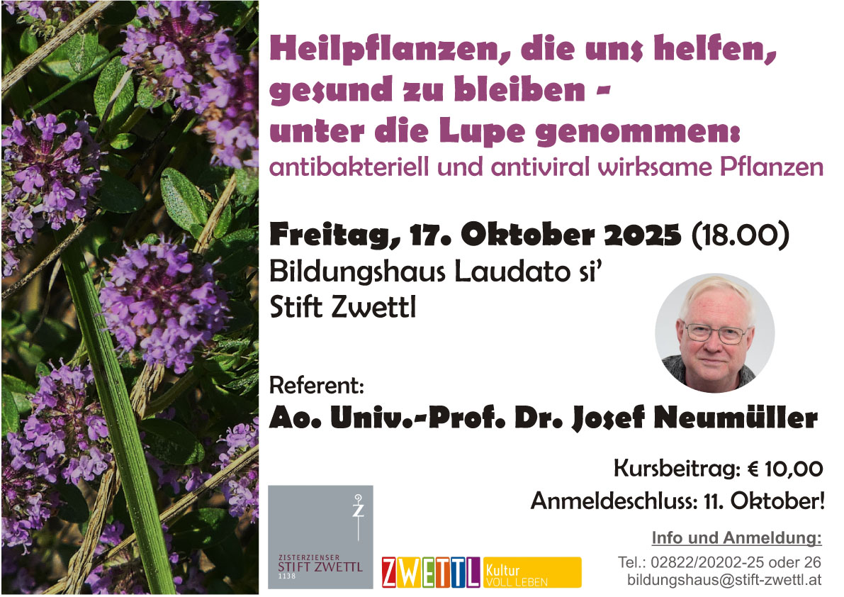 Heilpflanzen, die uns helfen, gesund zu bleiben - unter die Lupe genommen.