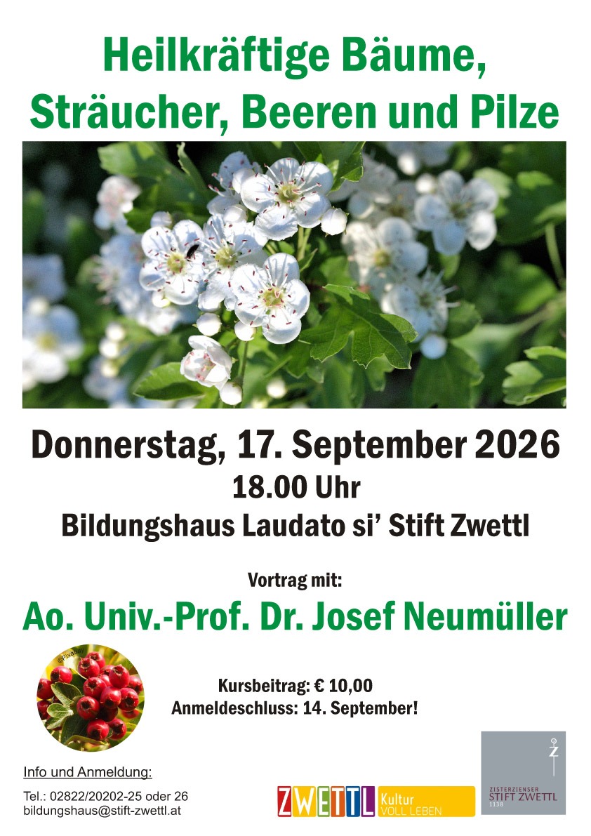 Heilkräftige Bäume, Sträucher, Beeren und Pilze