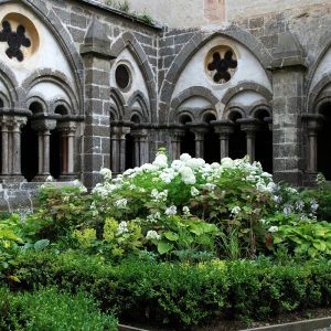 Zwettl_Kreuzgarten_09