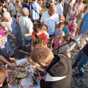 Erzabtei_Pannonhalma_Lavendelernte2018_MG4128_FC_Erzabtei_Pannonhalma_kl
