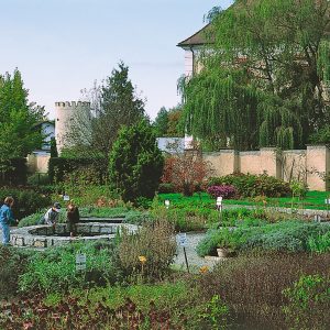 Geras_Kraeutergarten_07