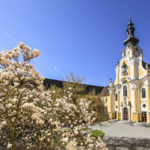 Hauptbild_StiftRein_Stiftshof__P.Martin_Ho__fler