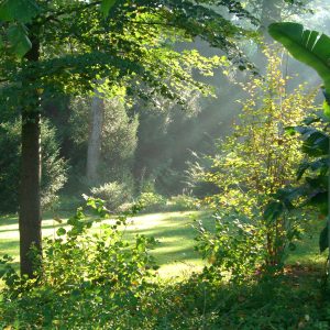 Melk_Park_MR_2007-09-24_81