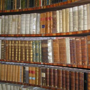 Rein_Bibliothek_Buecher_Foto_Roland_Peyrer