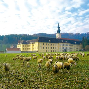 Rein_Stift_mit_Schafen_300