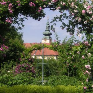 KONICA MINOLTA DIGITAL CAMERA