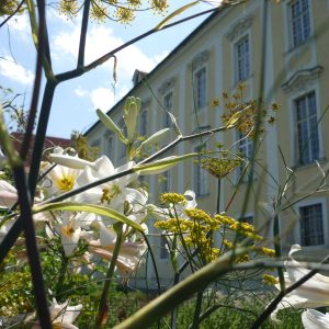 Stift_Altenburg_Apothekergarten2_2017_FC_SchweigFotodesign_StiftAltenburg