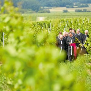 Stift_Reichersberg_Weingarten_O0B3975_FC_www.pedagrafie.de_kl