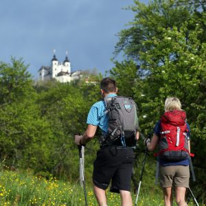 Stift_Seitenstetten_Pilgern_Wandern_WF140312_FC_FranzWeingartner_Weinfranz_kl