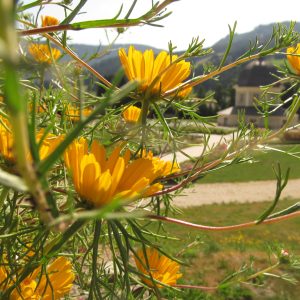 Stift_StLambrecht_Garten2014_04_FC_Stift_StLambrecht