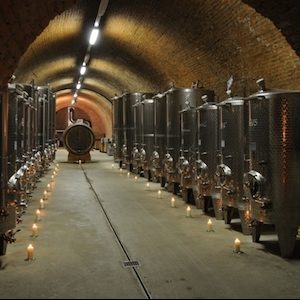 Stiftsweingut_Herzogenburg_2014_Keller