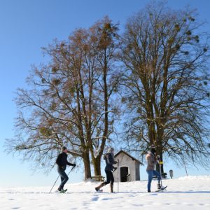 Weihnachts-Gutscheinpackage_Marienschwestern