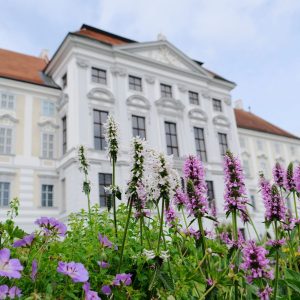 herzogenburg_DSCF9087@Leopold Schlager