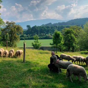 256353673_10220363089567782_3127580639306778943_n