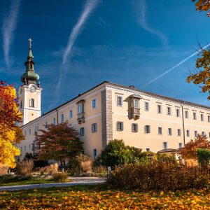 Stift-Herbst